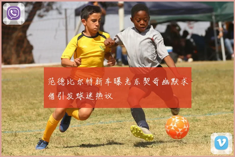 范德比尔特新车曝光东契奇幽默求借引发球迷热议